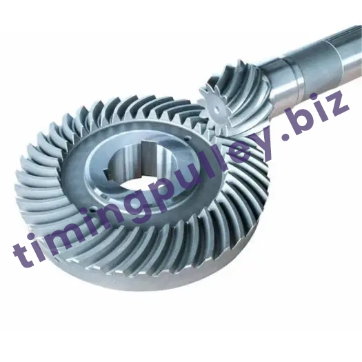 bevel-gear